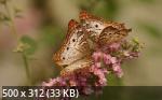 Mixturka - Wallpapers Collection 195