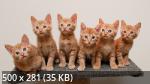 Best Mix Wallpapers 789
