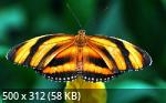 Mixturka - Wallpapers Collection 199