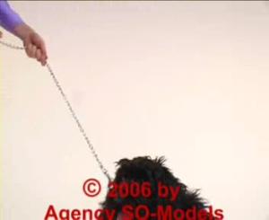 [Image: b9b73c0b4a5ac1a264dec44a6acaab98.jpeg]