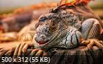 Mixturka - Wallpapers Collection 200