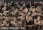 Alexis Crystal Loses Her Anal Virginity in an Orgy With Texas Patti