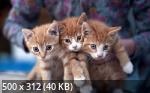 Mixturka - Wallpapers Collection 200