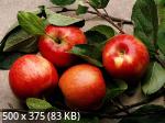 Mixturka - Wallpapers Collection 202