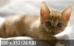 Mixturka - Wallpapers Collection 202