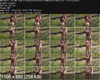 Onlyfans - Anal Fuck In A Windy Forest Beautiful Baby Is Getting Cum In Her Tight Ass (FullHD/1016p/383 MB)