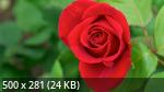 Mixturka - Wallpapers Collection 202