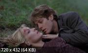  / Crash (1996) HDRip / BDRip