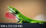 Mixturka - Wallpapers Collection 203