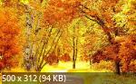 Best Wallpapers Mix Collection 11