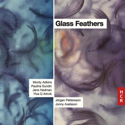 Jorgen Pettersson - Glass Feathers (2025) [FLAC 24B-48kHz]