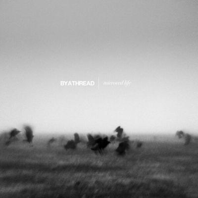 By a Thread - Mirrored Life (2025) [FLAC 24B-44.1kHz]