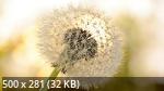 Best Mix Wallpapers 792