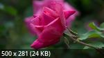 Mixturka - Wallpapers Collection 204