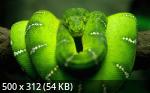 500 Mb Mix Wallpapers Collection 376