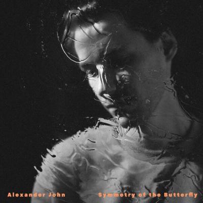 John Alexander - Symmetry of the Butterfly (2025) [FLAC 24B-48kHz]