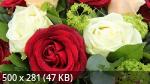 Best Mixture Wallpapers Collection 63