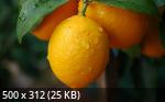 Mixturka - Wallpapers Collection 206