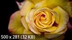 Best Mixture Wallpapers Collection 63