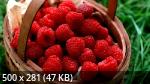 Best Mixture Wallpapers Collection 63